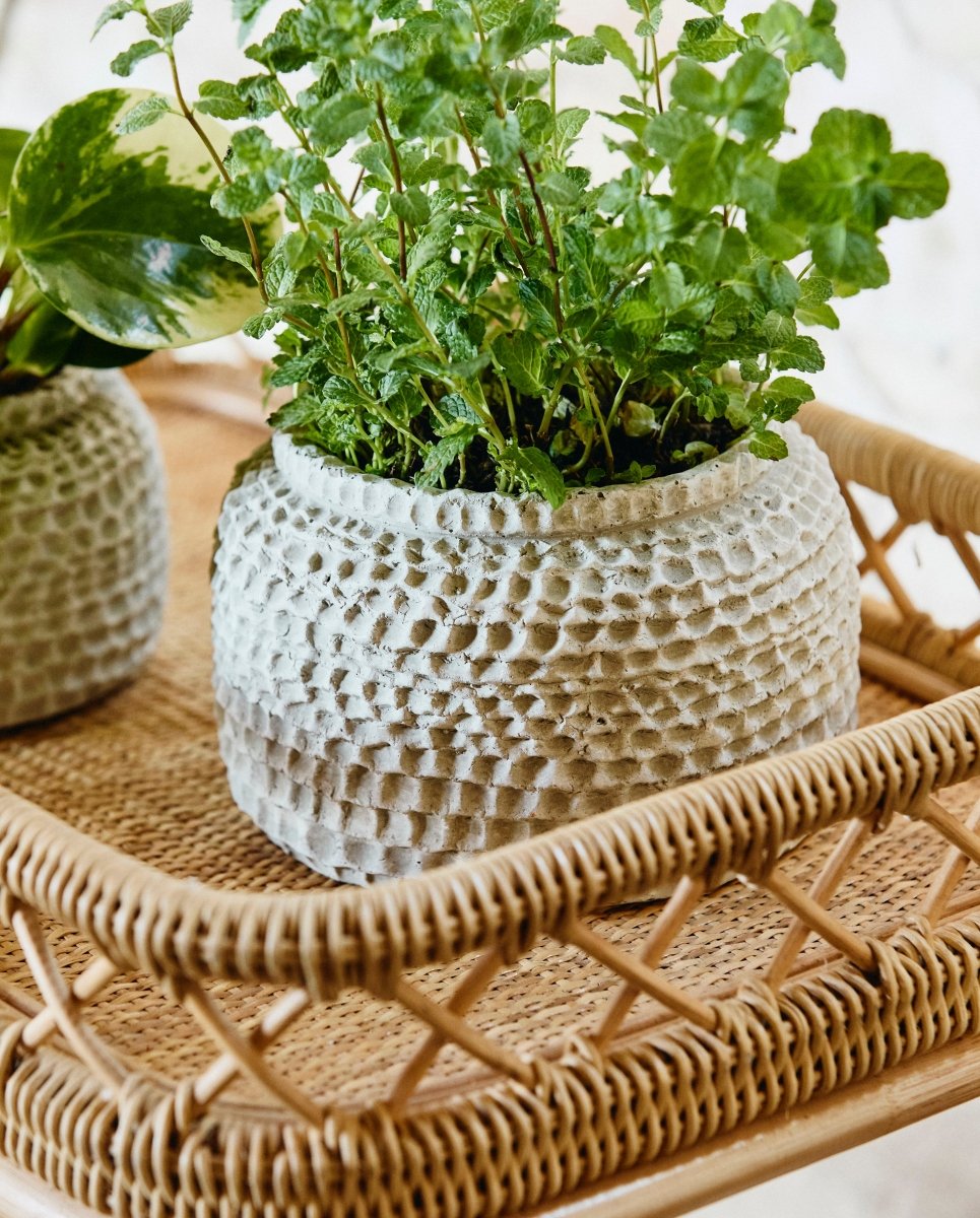 AOBA krukke i cement, L - Hvid - naordal.com