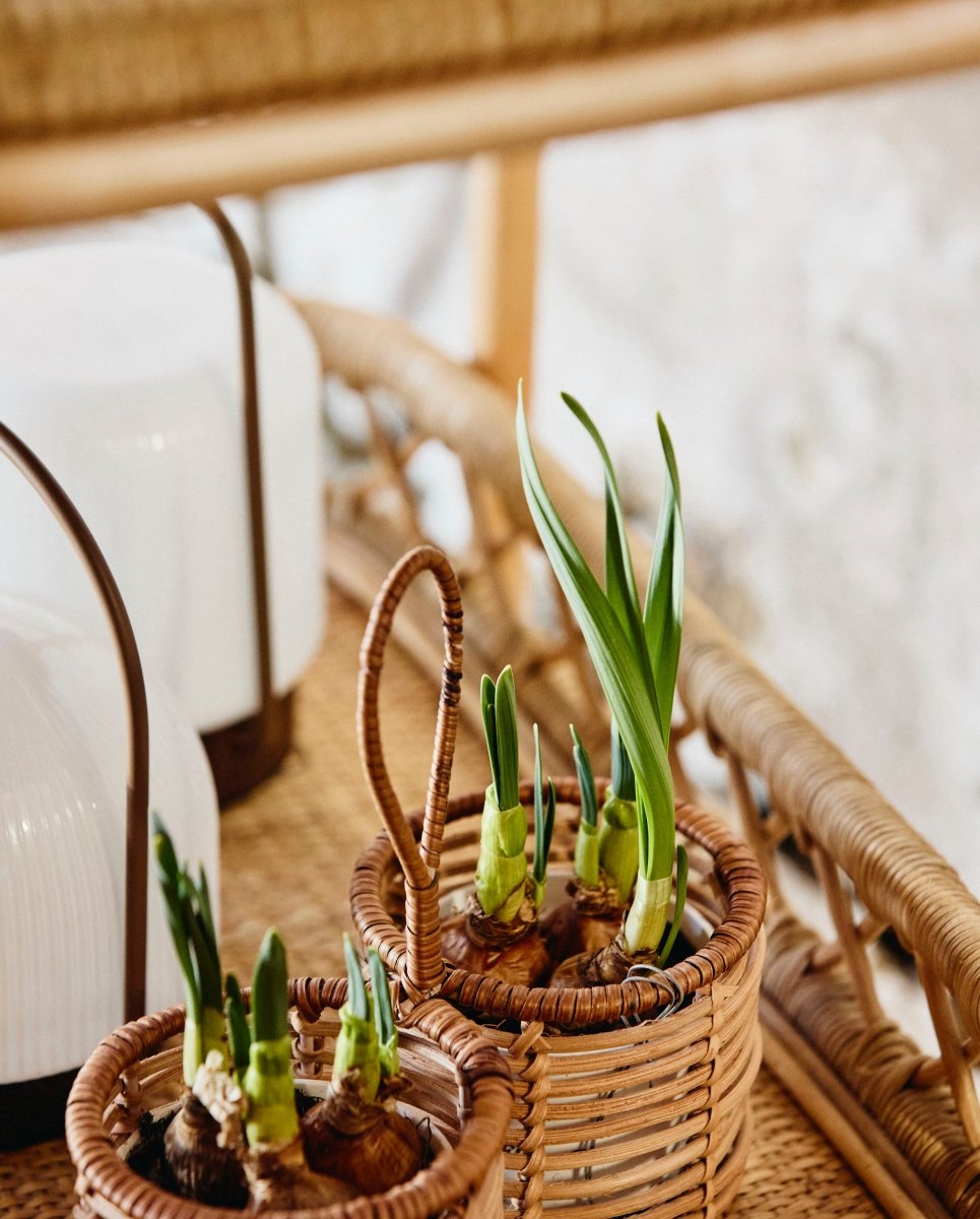 ZADAR fletkurv i rattan - ø10 cm - natur - naordal.com