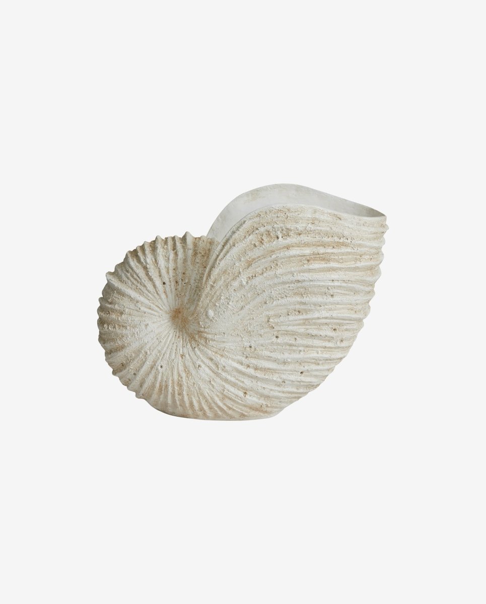 KETOY konkylie til dekoration - H41 cm - hvid - naordal.com