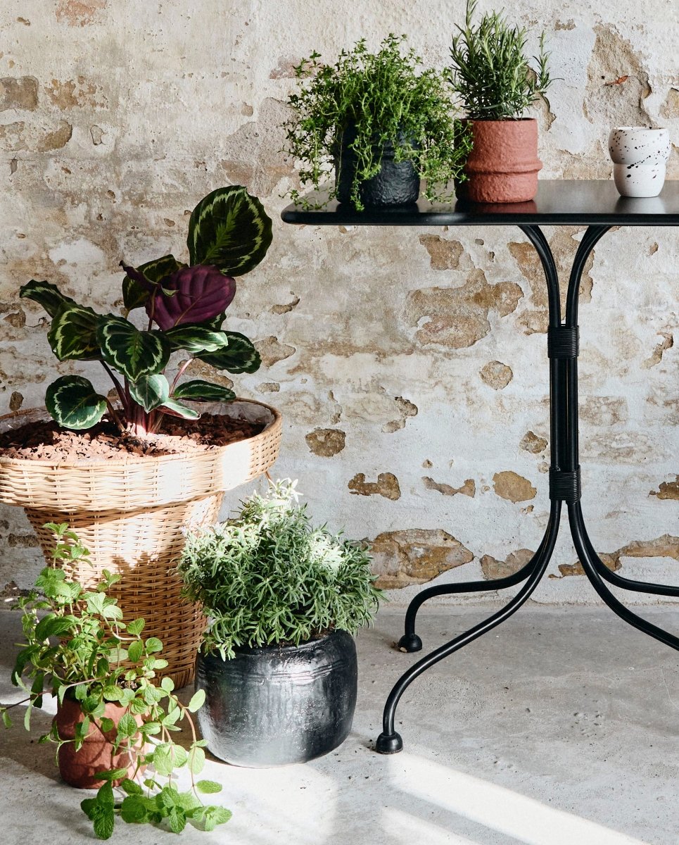 CIRA urtepotte - h18 cm - sort - naordal.com