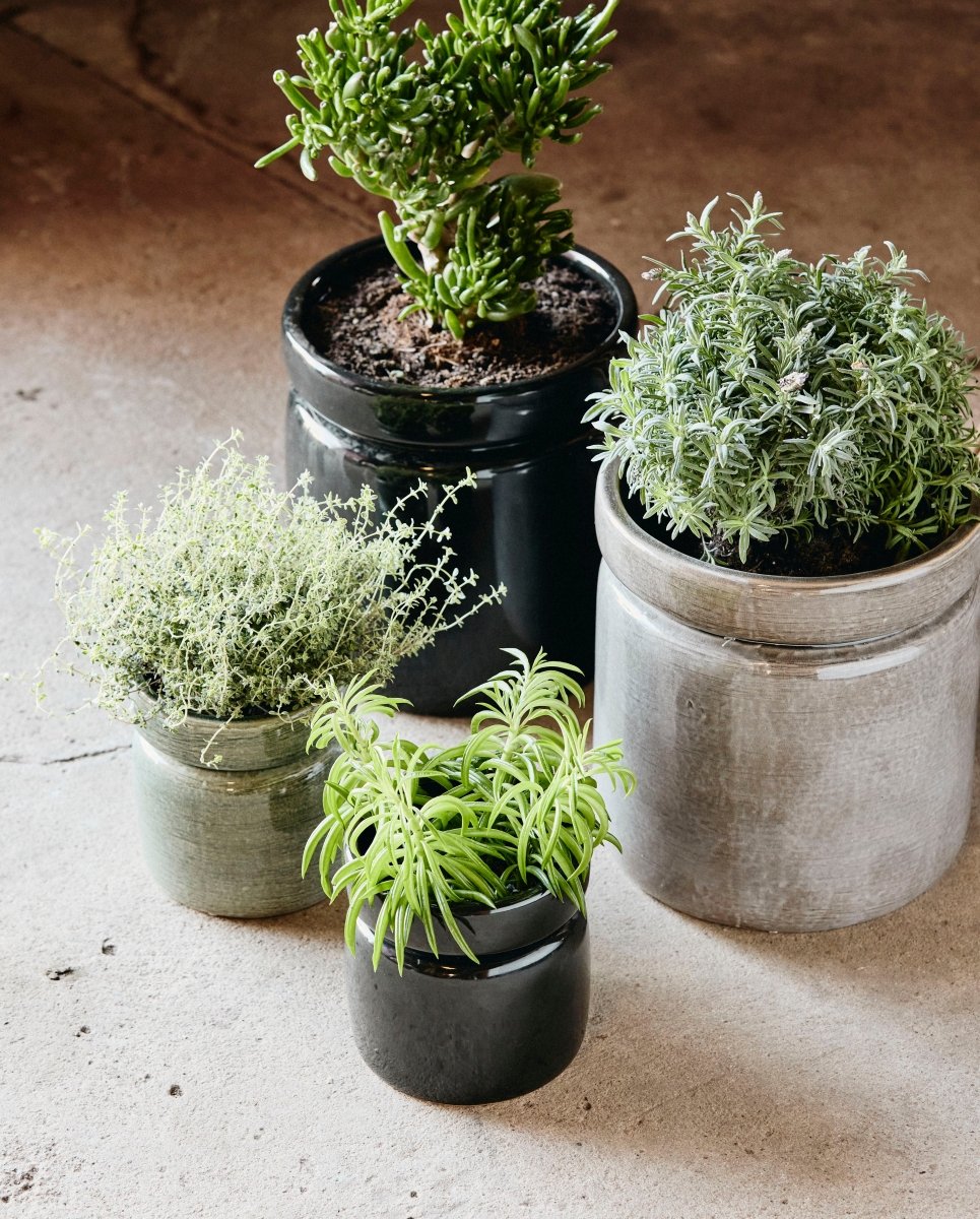 ISA urtepotte i keramik - ø15 cm - sort - naordal.com